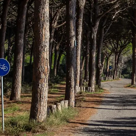 Village S'ena Arrubia Arborea