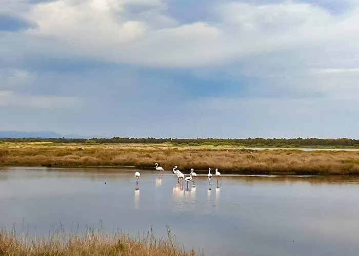 Village S'ena Arrubia